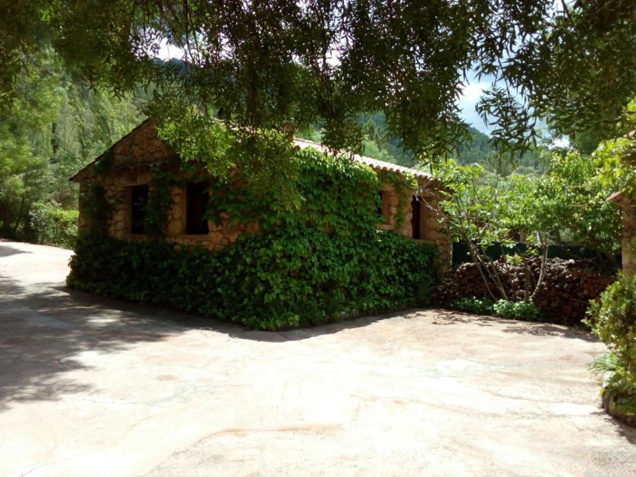 Casas Rurales Picos Del Oso Casa de hóspedes Riópar Exterior foto